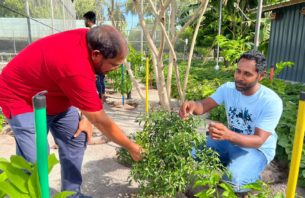 ޤާސިމް ވިދާޅުވީ ދަނޑުވެރިކަމަށް ރަންޒަމާނެއް ގެނެސްދެއްވާނެ ކަމަށް thumbnail image