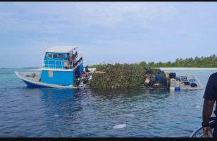 10 މީހުންނާއެކު ދަތުރުކުރި ދޯންޏެއް ލޯފަރު ފަރަށް އަރައިފި thumbnail image