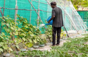 ހަނގުރާމައާ ގުޅިގެން ގަސްކާނާގެ ގޮތުގައި ބޭނުންކުރާ ޔޫރިއާ ލިބުމުގައި ވަނީ ދަތިވެފައި: މިނިސްޓަރު thumbnail image