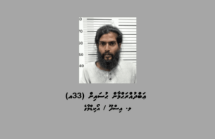 ޕާކުކޮށްފައި ހުރި ގިނަ ވެހިކަލްތަކަކުން ވައްކަންކުރި މީހަކު ހައްޔަރުކޮށްފި thumbnail image