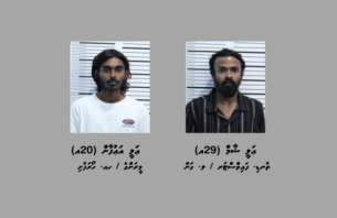 މަސްތުވާތަކެތި ވިޔަފާރިކުރާ ކަމުގެ ތުހުމަތުގައި ދެ މީހަކު ހައްޔަރުކޮށްފި thumbnail image
