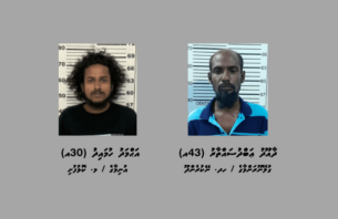 ދެ ރަށަކަށް މަސްތުވާތަކެތި ގެންދިޔަ ދެ މީހަކު ހައްޔަރުކޮށްފި thumbnail image