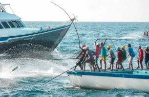 ކެޔޮޅުންގެ އެވޯޑާއި ޚިދުމަތްތެރި ފަރުމަސްވެރިޔާގެ އެވޯޑަށް ކުރިމަތިލުމަށް ހުޅުވާލައިފި thumbnail image