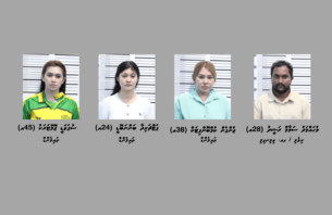 ސެލޫނެއްގައި ހަށިވިއްކާކަމުގެ ތުހުމަތުގައި ބަޔަކު ހައްޔަރުކޮށްފި thumbnail image