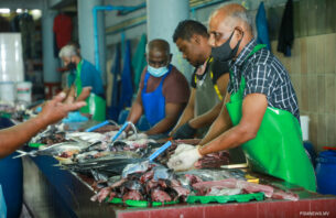 ޖަޕާނު ސަރުކާރުގެ ހިލޭ އެހީގައި މަސްމާރުކޭޓް ތަރައްޤީކުރަނީ thumbnail image