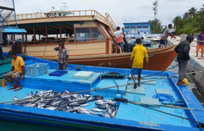 މިފްކޯއިން މި މަހު މަސްވެރިންނަށް 36 މިލިއަނަށްވުރެ ގިނަ ރުފިޔާ ޖަމާކޮށްދީފި thumbnail image