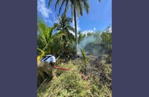 އައްޑޫ  މަތިކިޅި ކައިރި ވަލުތެރޭގައި އަލިފާނުގެ ހާދިސާއެއް ހިނގައިފި thumbnail image