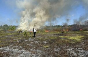 ފުވައްމުލަކުގެ ޗަސްބިން ސަރަހައްދެއްގައި އަލިފާނުގެ ހާދިސާއެއް thumbnail image