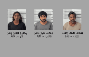 ދުވާފަރަށް މަސްތުވާތަކެތި އެތެރެކުރަން އުޅުނު 3 މީހަކު ހައްޔަރުކޮށްފި thumbnail image