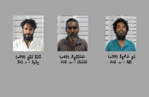 މަސްތުވާތަކެއްޗާ އެކު 3 މީހަކު ހައްޔަރުކޮށްފި thumbnail image