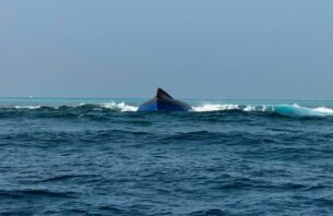 ބޯޓު ބަންޑުން ޖަހާލުން: ކަނޑަށް ގެއްލުނު އެކެއްގެ ހަށިގަނޑު ފެނިއްޖެ thumbnail image