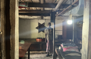 ގަރުނަކަށް ވުރެ ގިނަ ދުވަސްވީ ތަރިޖެހިގެ ހިމާޔަތްކުރަނީ thumbnail image