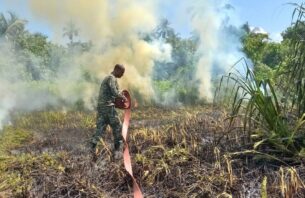 އައްޑޫގެ އާރިކުޅީގައި އަލިފާނުގެ ހަދިސާއެއް ހިނގައިފި thumbnail image