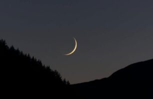 މާދަމާ ފަހު ރޯދަ، އީދަކީ ހުކުރު ދުވަސް thumbnail image