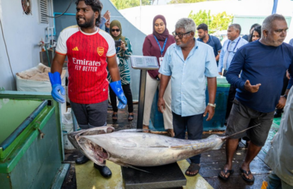 ބޮޑުކަންނެލި މަސްވެރިންނަށް ތެލުގެ ސަބްސިޑީ ދޭން ފަށައިފި thumbnail image