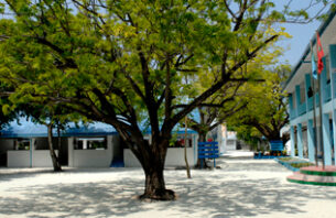 އަންހެން މުދައްރިސަކަށް ސްކޫލު ދަރިވަރަކު އަނިޔާކުރި މައްސަލައެއް ފުލުހުން ބަލަން ފަށައިފި thumbnail image