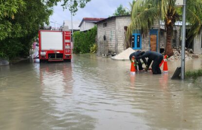ރޭ ބޯކޮށް ވާރޭވެހި، ފޭދޫ ފެނުއަޑީގައި thumbnail image