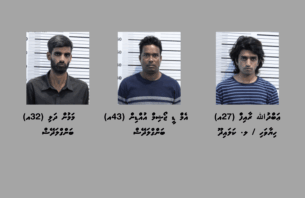 މާލެ ސަރަހައްދުން 21 ކިލޯގެ މަސްތުވާތަކެތި އަތުލައިގަނެ ތިން މީހަކު ފުލުހުންގެ ބެލުމުގެ ދަށަށް ގެންގޮސްފި thumbnail image