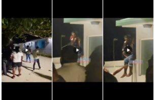 ހޯރަފުށި ހިޔާގެ ކުދިންތަކެއް އެ ތަނުން ނުކުމެ، މީހަކު ރަހީނުކޮށް ހަމަލާދީފި thumbnail image