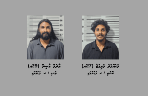 މަޑުއްވަރީން މަސްތުވާތަކެތީގެ ނެޓްވޯކެއް އަތުލައިގަނެފި thumbnail image