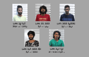 ކާށިދޫގައި މަސްތުވާތަކެތީގެ ވިޔަފާރިކުރާ ގުރޫޕެއް ހައްޔަރުކޮށްފި thumbnail image
