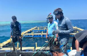 މެރިން ހެޗަރީ ސްކިލްސް ޑިވެލޮޕްމަންޓް ޕްރޮގްރާމްގެ 4ވަނަ ބުރަށް ހުޅުވާލައިފި thumbnail image