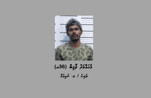 ޑިންގީއެއްގައި ނައިފަރަށް މަސްތުވާތަކެތި އެތެރެކުރަން އުޅުނު މީހަކު ހައްޔަރުކޮށްފި thumbnail image
