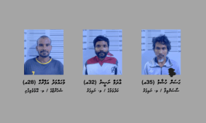 މަސްތުވާތަކެއްޗާ އެކު ޅ. އަތޮޅުން ތިންމީހުން ހައްޔަރުކޮށްފި thumbnail image